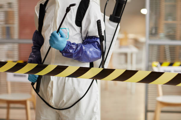 Professional Sewage Cleanup technician working in Mesa, AZ